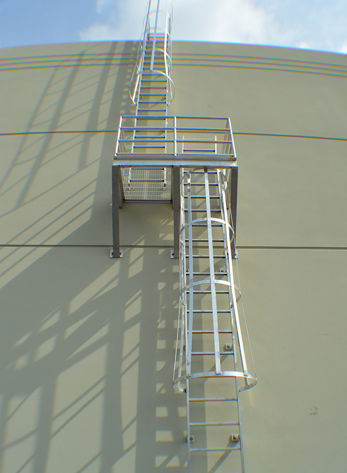 Ladders Image 3